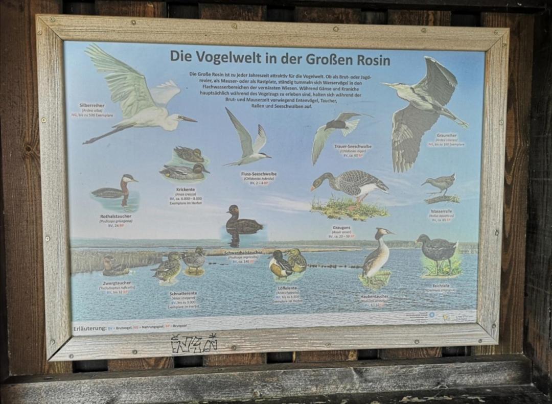 Sommerhaus Verchen Kültér fotó